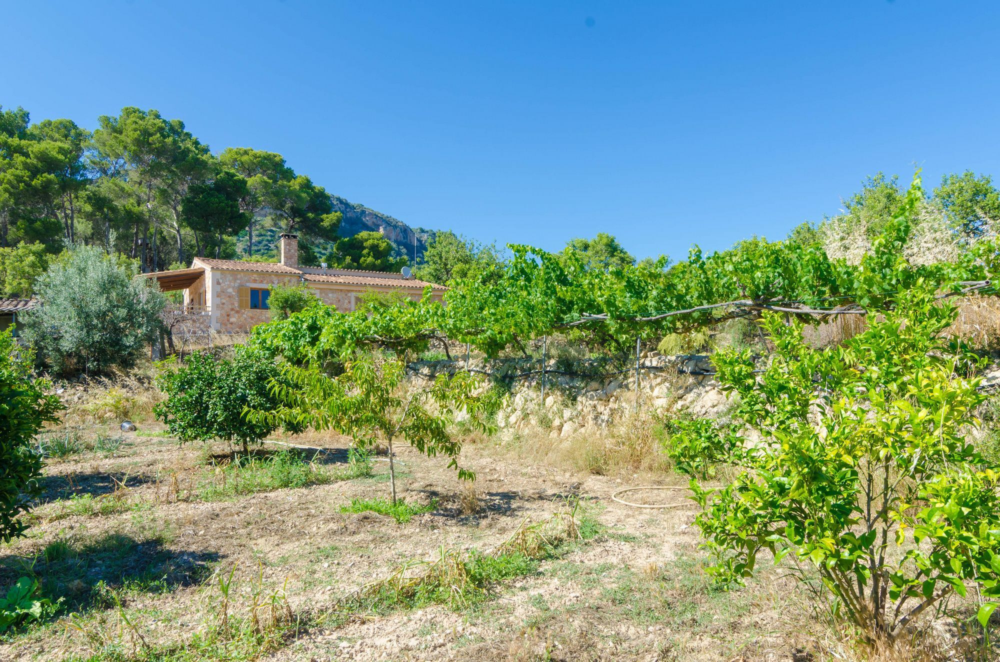 Aresta Den Rumbet Hotel Llucmajor  Exterior photo